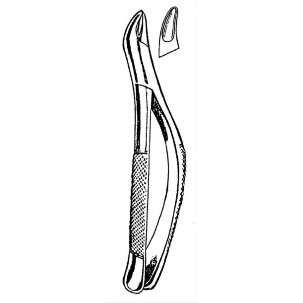 Canine Incisors and Bicuspid Extracting Forceps - Canine - B.C Medical ...